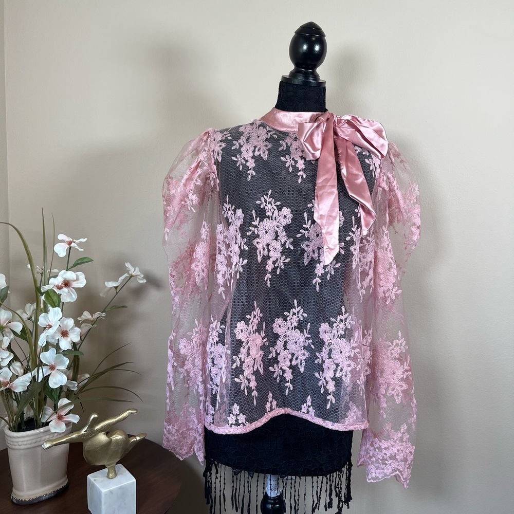 Pink plus size embroidered puff sleeve sheer blouse